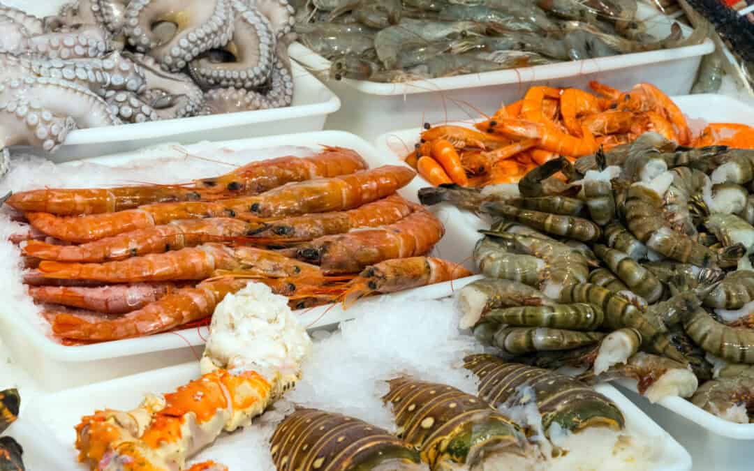 Dining by the Sea: Best Seafood Restaurants in Limassol