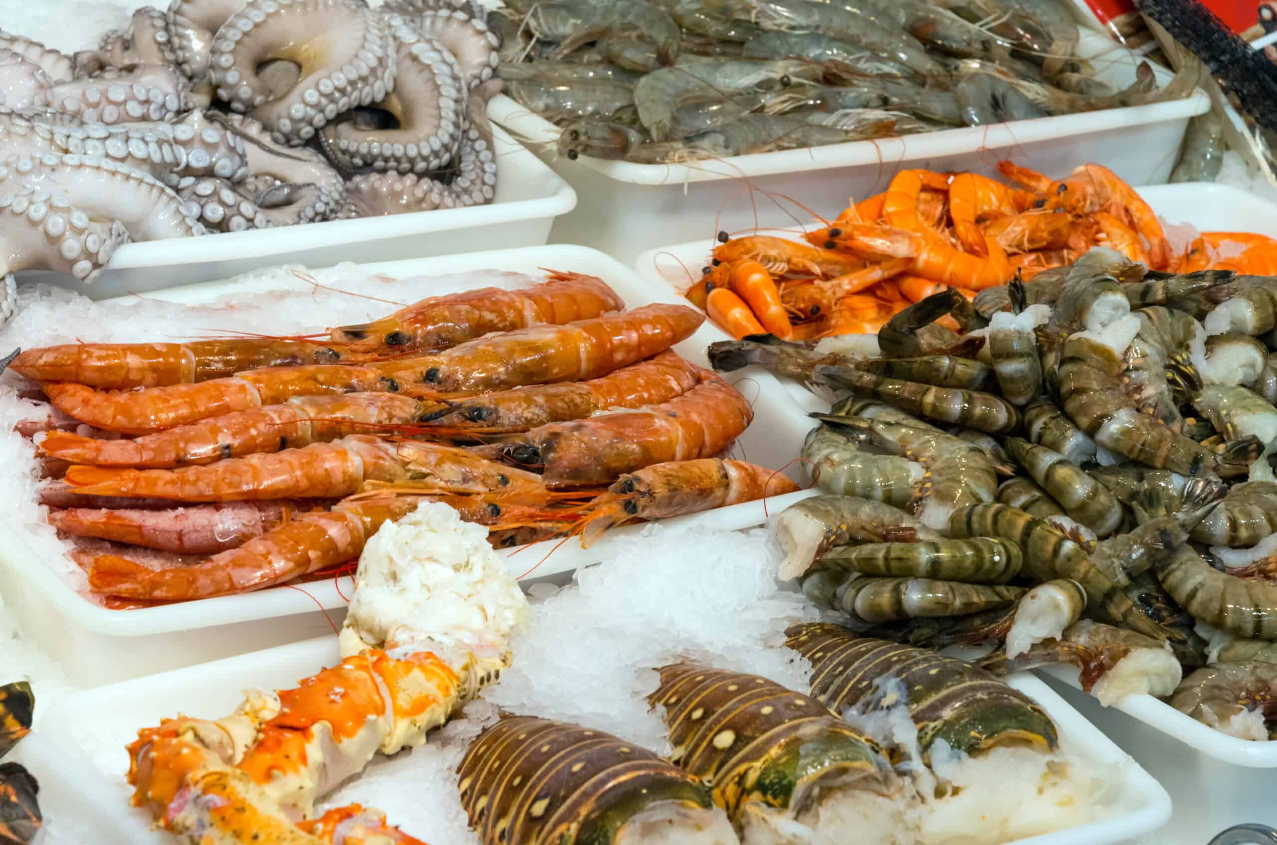 Dining by the Sea Best Seafood Restaurants in Limassol